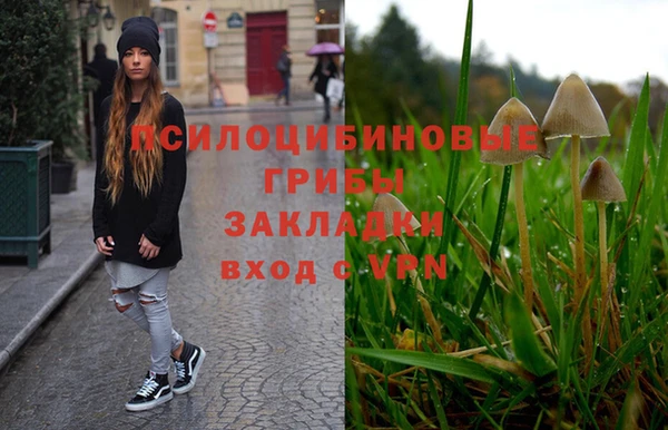 ГАЛЛЮЦИНОГЕННЫЕ ГРИБЫ Алексеевка