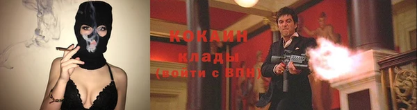 стафф Алзамай