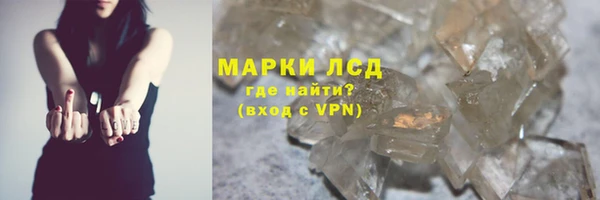 стафф Алзамай
