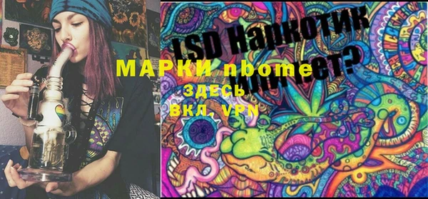 ГАЛЛЮЦИНОГЕННЫЕ ГРИБЫ Алексеевка