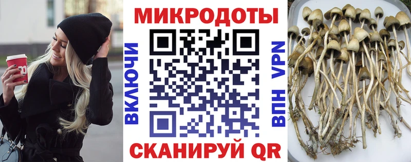 магазин продажи   ссылка на мегу сайт  Галлюциногенные грибы GOLDEN TEACHER  Ливны 